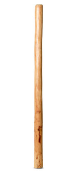 Medium Size Natural Finish Didgeridoo (TW1217)